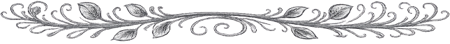Layer